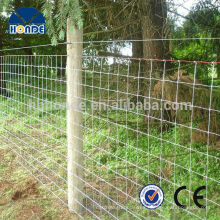 Factory Directly Provide New Style wire temporary fence